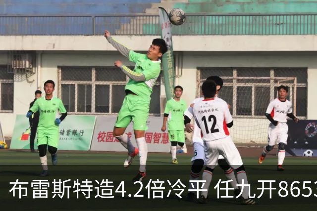 布雷斯特造4.2倍冷平 任九开8653注1378元